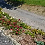 Bed & Breakfast Et Table D'hôtes La Trottelée