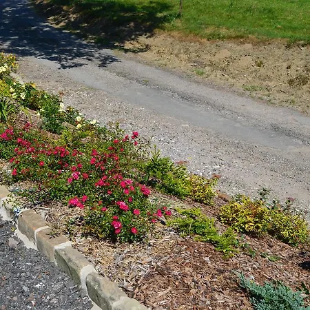 Bed & Breakfast Et Table D'hotes La Trottelee