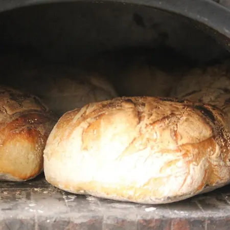 Bed & Breakfast D'hotes La Trottelee